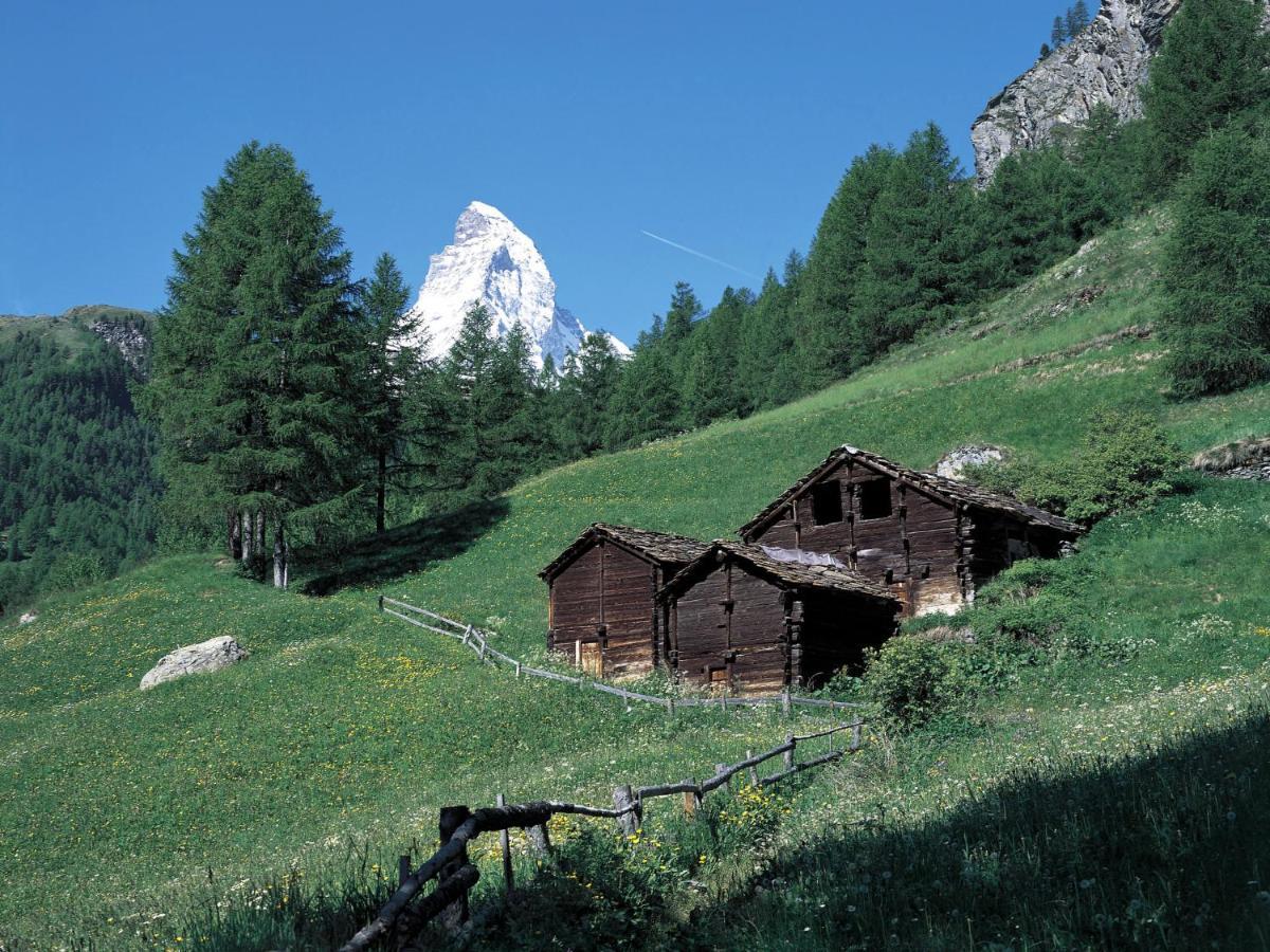 Apartment Richemont By Interhome Zermatt Zewnętrze zdjęcie