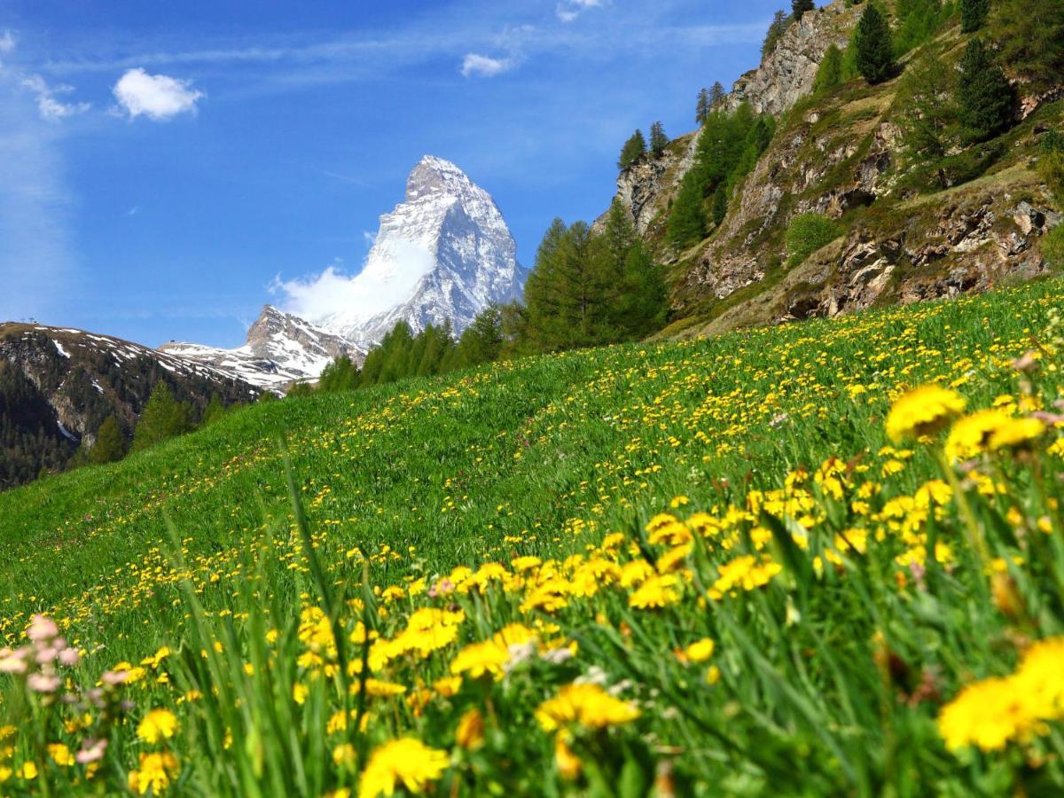 Apartment Richemont By Interhome Zermatt Zewnętrze zdjęcie